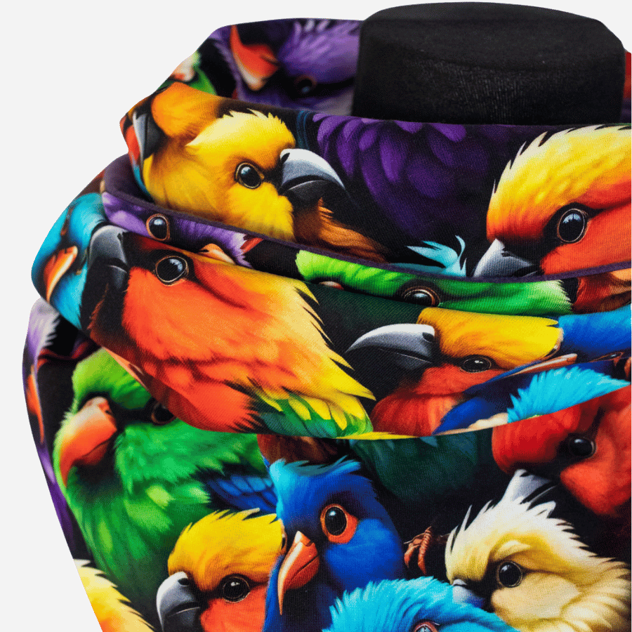 Colorful Parrots